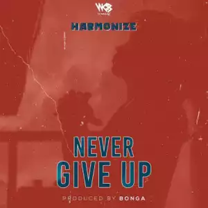 Harmonize - Never Give Up